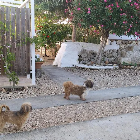 Biniati Des Pi Sant Lluis