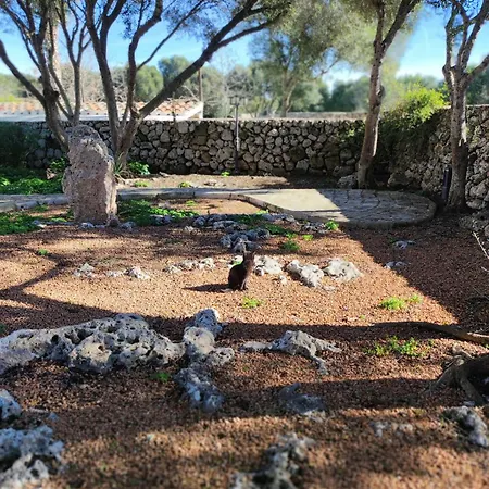 比尼亚特宫皮乡村民宿