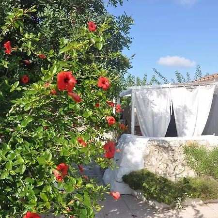 乡村民宿 比尼亚特宫皮乡村民宿 桑特柳伊斯