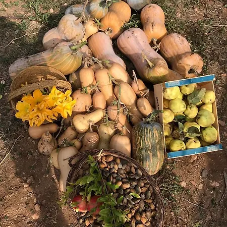 乡村民宿 比尼亚特宫皮乡村民宿