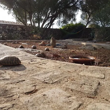 Biniati Des Pi * Sant Lluis