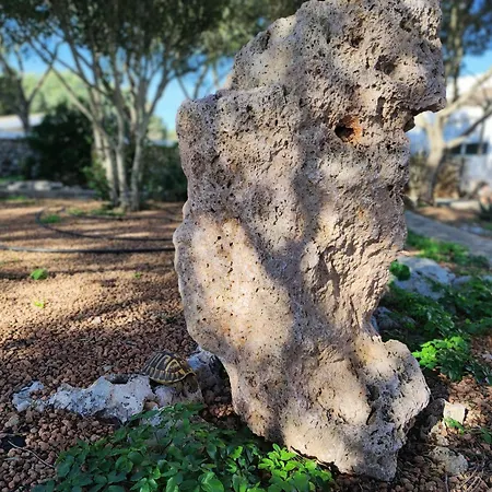 Biniati Des Pi Landhaus *