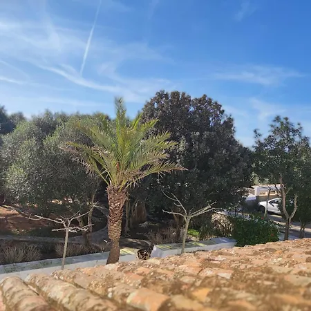 Rural Biniati Des Pi Country house