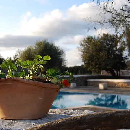 Country house Biniati Des Pi