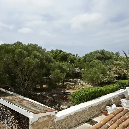 Rural Biniati Des Pi