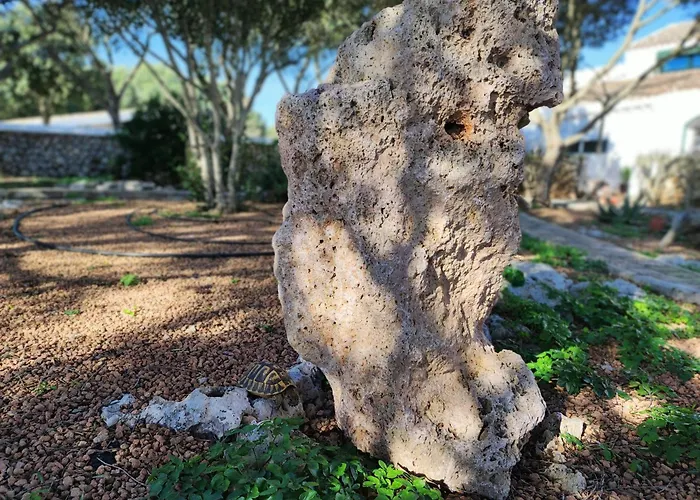 Biniati Des Pi בית כפרי *