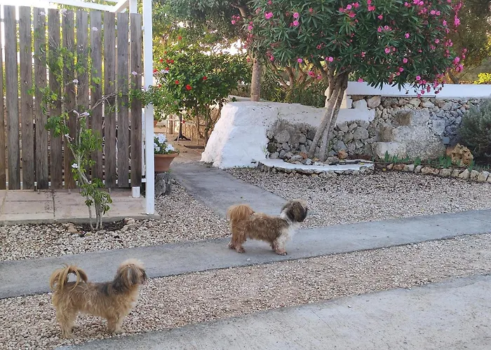 Biniati Des Pi סנט לואיס