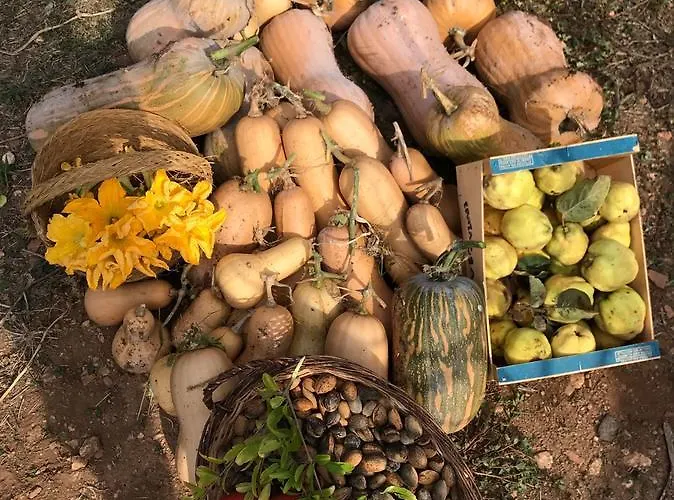 בית כפרי Biniati Des Pi