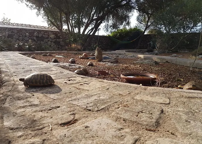 Biniati Des Pi * סנט לואיס